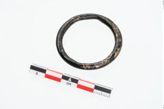 Foto von Bronzering (NHMW-PRAE-025961)